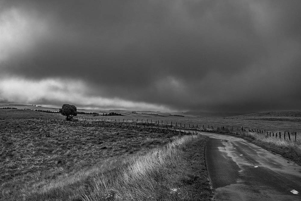 Sur le plateau de l'Aubrac Copyright JF LE MAOUT PHOTO