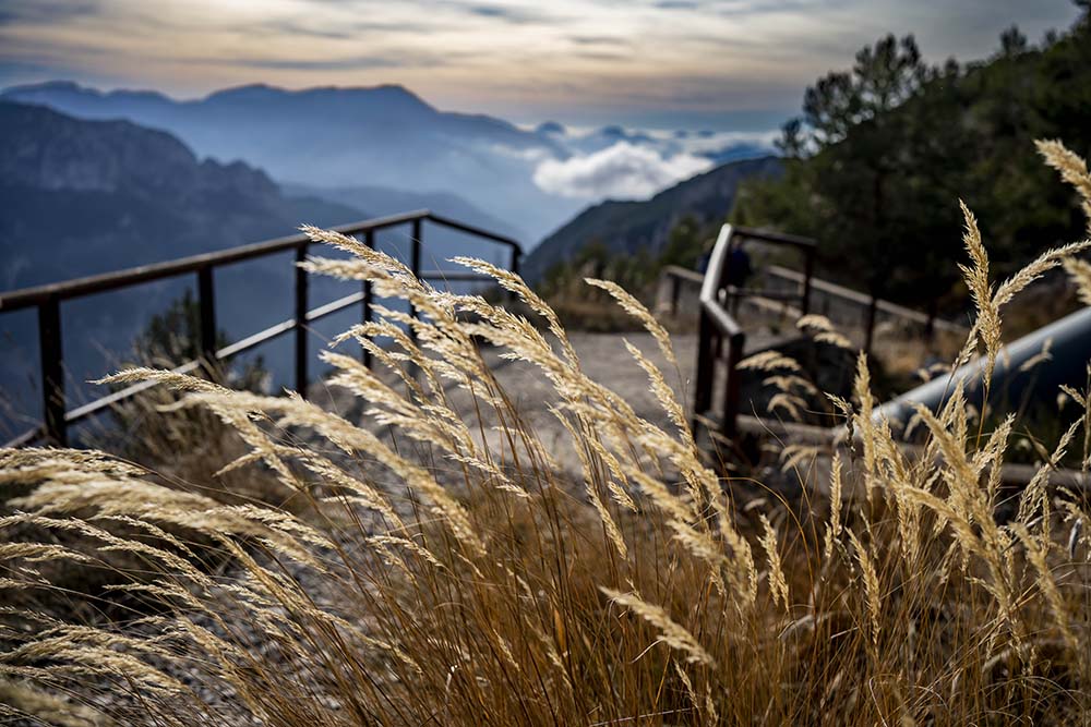 Au dessus de la Roya Copyright JF LE MAOUT PHOTO